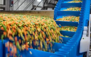 frozen vegetables on a processing line